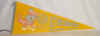 100_6680.JPG (668520 bytes)
