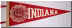 C31982_Indiana.jpg (431743 bytes)