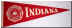 C32027_Indiana.jpg (386956 bytes)