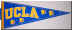 C32109_UCLA.jpg (397941 bytes)