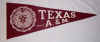 C32189_Texas_AM.jpg (502512 bytes)