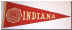 C31451_Indiana.jpg (36484 bytes)