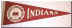 C31452_Indiana.jpg (39697 bytes)