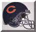 bears_helmet.jpg (316685 bytes)