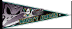 H2424_Mighty_Ducks.gif (15189 bytes)