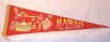 hawaii_souvenir.jpg (9007 bytes)